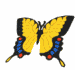butterfly-06