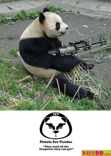 Pistols for Pandas - Tangency