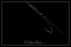 IMAGE: http://lh3.ggpht.com/_CFNhTOkh14o/TAZ3Gzs1C9I/AAAAAAAAALk/p0ePaJxwu4E/s288/IMG_4890.jpg