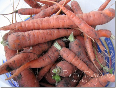 carrots-edited
