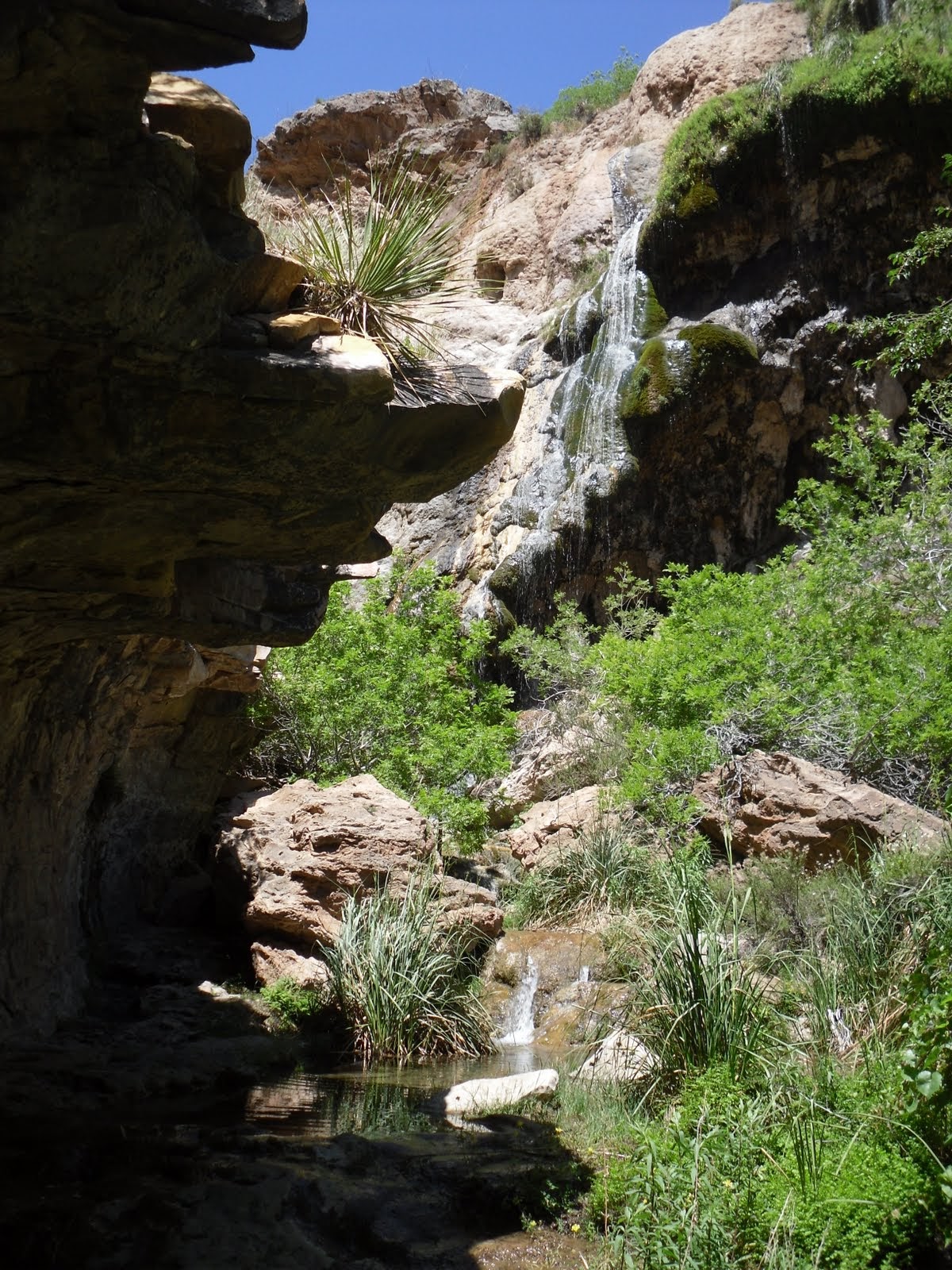 Hiking Sitting Bull Falls and Spring in Lincoln National 
