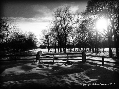 [gate in snow BW[3].jpg]