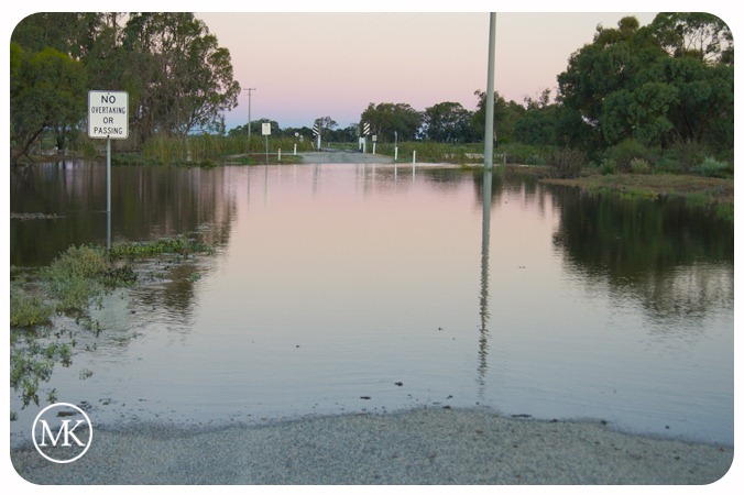 [floods 2[3].jpg]
