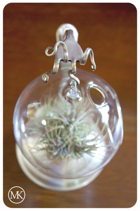[Terrarium hanger 5[3].jpg]