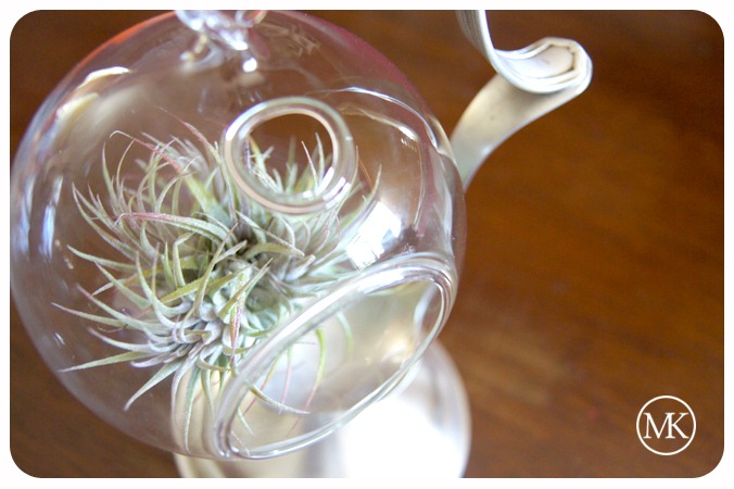[Terrarium hanger 7[3].jpg]