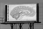[braingenes_billboard[4].jpg]