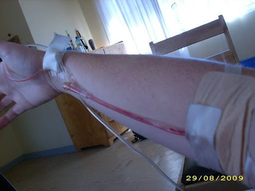illustration of saphenous vein of dog cats