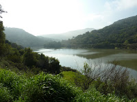 P1010153.JPG