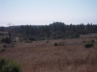DSCN0629.JPG