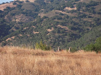 DSCN0408.JPG