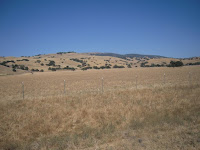 DSCN0383.JPG