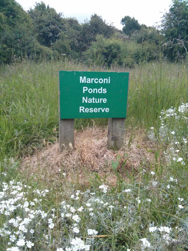 Marconi Ponds Reserve 