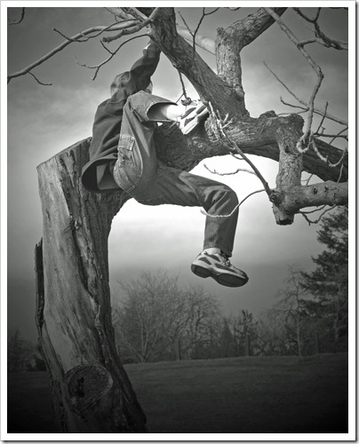 arboretum 043 - Copy_edited-2