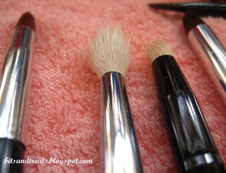 dried asstd brushes 3, by bitsandtreats dried asstd brushes 3, by bitsandtreats