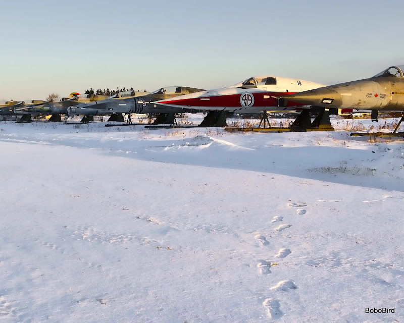 IMAGE: http://lh3.ggpht.com/_CJO7PukdLlc/TUmYtparfHI/AAAAAAAAEoA/m5aLFdgK_Tw/s800/20110130_5223.jpg