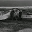 n813491854_1217705_6807.jpg