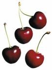 [fresh cherry[5].jpg]