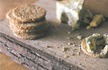 [oatcakes_hughfw[6].jpg]