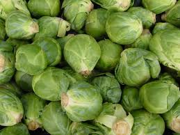 [sprouts[2].png]