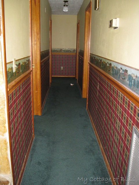 [IMG_04546.jpg]