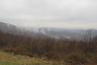 IMG_3915.JPG Photo