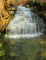 IMG_3935.JPG Photo