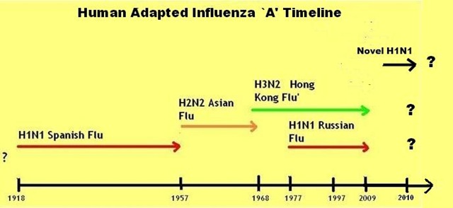 [Flu Timeline[3].jpg]