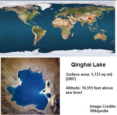 [Qinghai Lake[3].jpg]