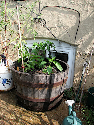 Peppers in place of Paul.