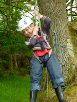 Tree Pull - "please don't let go!" Tree Pull - "please don't let go!"