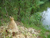 DSC00626.JPG