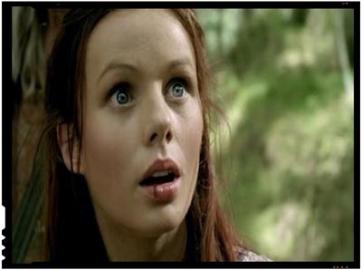The Legend of the Seeker