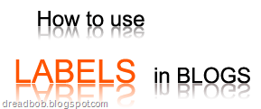 How to on Using Labels in Blog