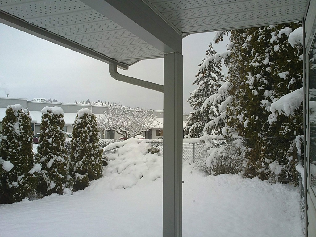 [03062011011[20].jpg]