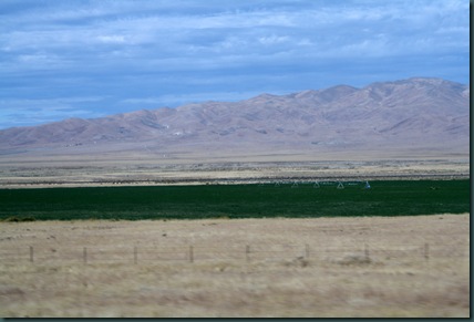 To Fallon 119 To Fallon 119