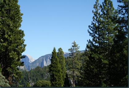 To California via Yosemite 166