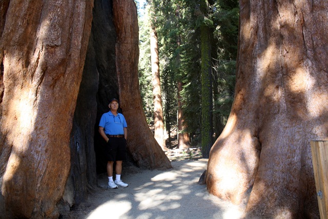 [Sequoia National Park 162[3].jpg]
