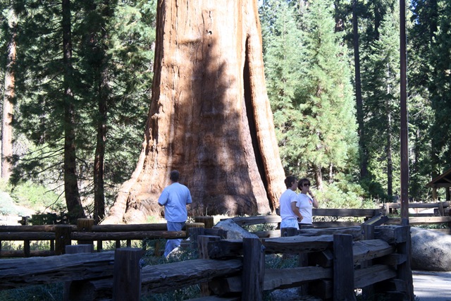 [Sequoia National Park 124[3].jpg]