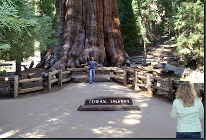 Sequoia National Park 172
