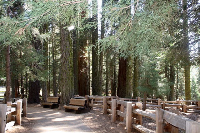 [Sequoia National Park 181[3].jpg]