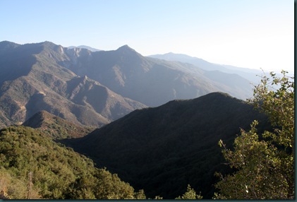Sequoia National Park 276 Sequoia National Park 276