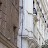 100_1364.JPG