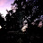 100_5421.JPG