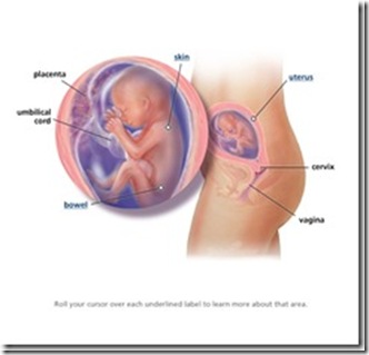 Am i in slow labour & what are the symptoms? - Yahoo! UK & Ireland.
