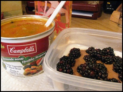 fiestavegebeansoup&yogurt