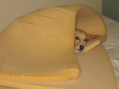 [lucy2[8].jpg]