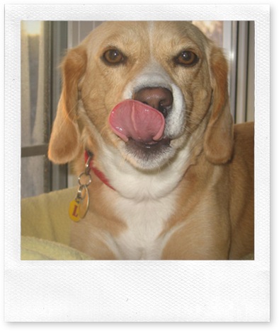 lucy