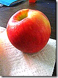 BIMG_1289