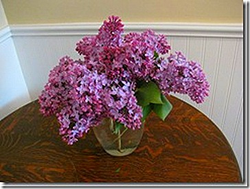 IMG_2646_thumb