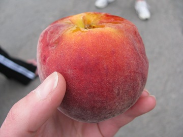[IMG_36173.jpg]